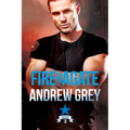 Fire and Agate: Volume 3 - Paperback