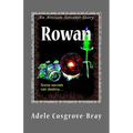 Rowan: An Artisan-Sorcerer Story - Paperback