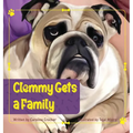 Clemmy Gets a Family - Hardcover