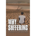 Why Sufferings: Paradise Lost and Restored - Paperback