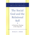 The Social God and the Relational Self: A Trinitarian Theology of the Imago Dei - Paperback