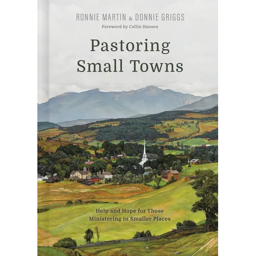 Pastoring Small Towns: Help and Hope for Those Ministering in Smaller Places - Hardcover