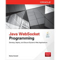 Java Websocket Programming - Paperback