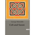 Celt and Saxon: Cultural Clashes and Familial Ties in "Celt and Saxon" - Paperback