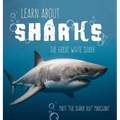 Learn About Sharks: The Great White Shark - Hardcover