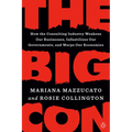 The Big Con: How the Consulting Industry Weakens Our Businesses, Infantilizes Our Governments, and Warps Our Economies - Paperback