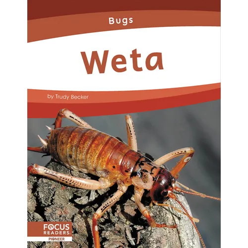 Weta - Library Binding