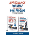 A Pregnancy Roadmap for First-Time Moms and Dads: A Compilation - Paperback