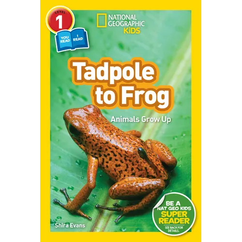 Tadpole to Frog (National Geographic Kids Readers, Level 1/Co-Reader): Animals Grow Up - Paperback