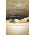A Theology of Sense: John Updike, Embodiment, and Late Twentieth-Century American Literature - Hardcover