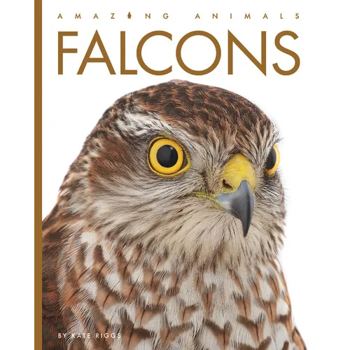 Falcons - Library Binding