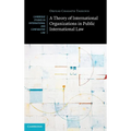 A Theory of International Organizations in Public International Law - Hardcover