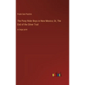 The Pony Rider Boys in New Mexico; Or, The End of the Silver Trail: in large print - Hardcover