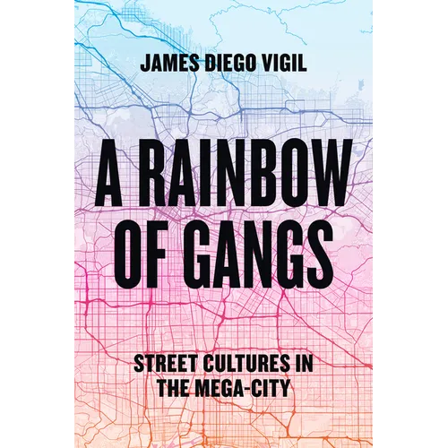 A Rainbow of Gangs: Street Cultures in the Mega-City - Paperback