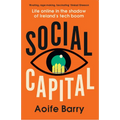 Social Capital: Life Online in the Shadow of Ireland's Tech Boom - Paperback