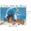 A View from the Moon (Hardcover): Paintings, Poetry, Prose, Short Stories - Hardcover