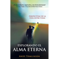 Explorando El Alma Eterna - Perspectivas de La Vida Entre Vidas - Paperback