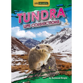 Tundra Life Connections - Paperback