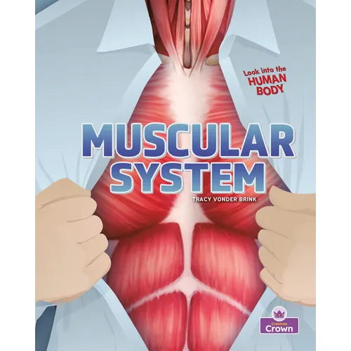 Muscular System - Paperback