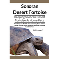 Sonoran Desert Tortoise: Everything You Need To Know Concerning Desert Tortoise Caring, Feeding, Habitat, Interaction, Breeding, Grooming, Heal - Paperback