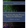 The Least Action Nuclear Process Theory of Cold Fusion: A Theory of Heat - Paperback