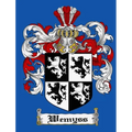 Wemyss of Ireland - Hardcover