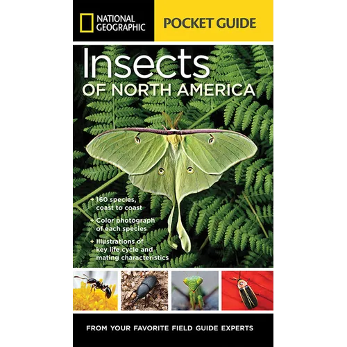 National Geographic Pocket Guide to Insects of North America: From Your Favorite Field Guide Experts - Paperback
