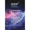 Digitalization in Emerging Economies - Paperback