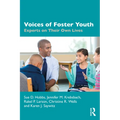 Voices of Foster Youth: Experts on Their Own Lives - Paperback