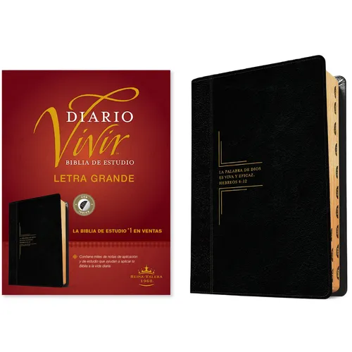 Biblia de Estudio del Diario Vivir Rvr60, Letra Grande (Letra Roja, Sentipiel, Negro/Ónice, Índice) - Imitation Leather