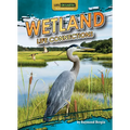 Wetland Life Connections - Paperback