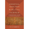 Exegetical Gems from Biblical Hebrew: A Refreshing Guide to Grammar and Interpretation - Paperback