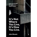 It's Not Where You Live, It's How You Live: Class and Gender Struggles in a Dublin Estate - Paperback