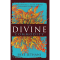 The Divine Commodity: Discovering a Faith Beyond Consumer Christianity - Paperback