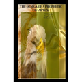Prophetic Etiquette Manual - The Design of a Prophetic Champion: How to Destroy Error in the Prophetic Office - Paperback