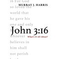 John 3:16: What's It All About? - Paperback