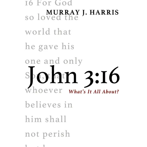 John 3:16: What's It All About? - Paperback
