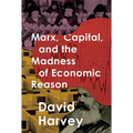 Marx, Capital, and the Madness of Economic Reason - Hardcover