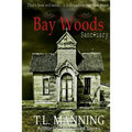 Bay Woods, Sanctuary - Paperback