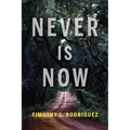 Never is Now - Paperback