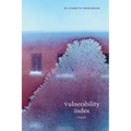 Vulnerability Index: Poems - Paperback