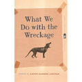 What We Do with the Wreckage: Stories - Paperback
