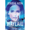 Waylaid: A Christian Romantic Suspense - Paperback