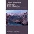 Conflict and Peace Building in Divided Societies: Responses to Ethnic Violence - Paperback