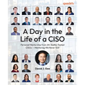 A Day in the Life of a CISO: Personal Mentorship from 24+ Battle-Tested CISOs - Mentoring We Never Got - Paperback