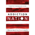 Addiction Nation: What the Opioid Crisis Reveals about Us - Paperback