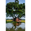 The Kallada Escapades - Paperback