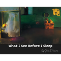 What I See Before I Sleep - Paperback