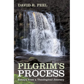 Pilgrim's Process: Essays from a Theological Journey - Paperback