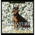 Miniature Pinscher: Reigning King of Toys - Hardcover